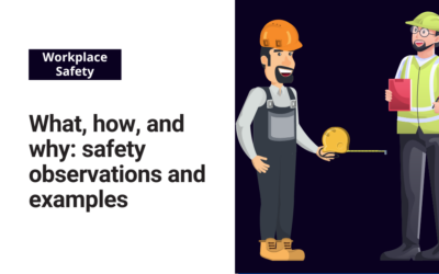 What, how, and why: Safety observations and examples