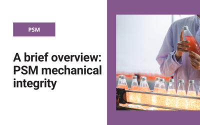 A brief overview: PSM mechanical integrity