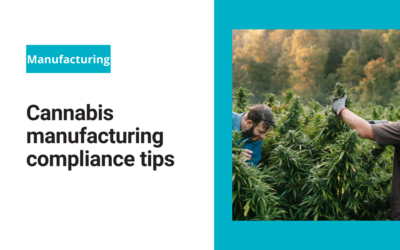 Cannabis manufacturing compliance tips