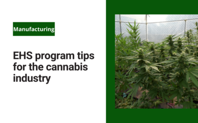 EHS program tips for the cannabis industry
