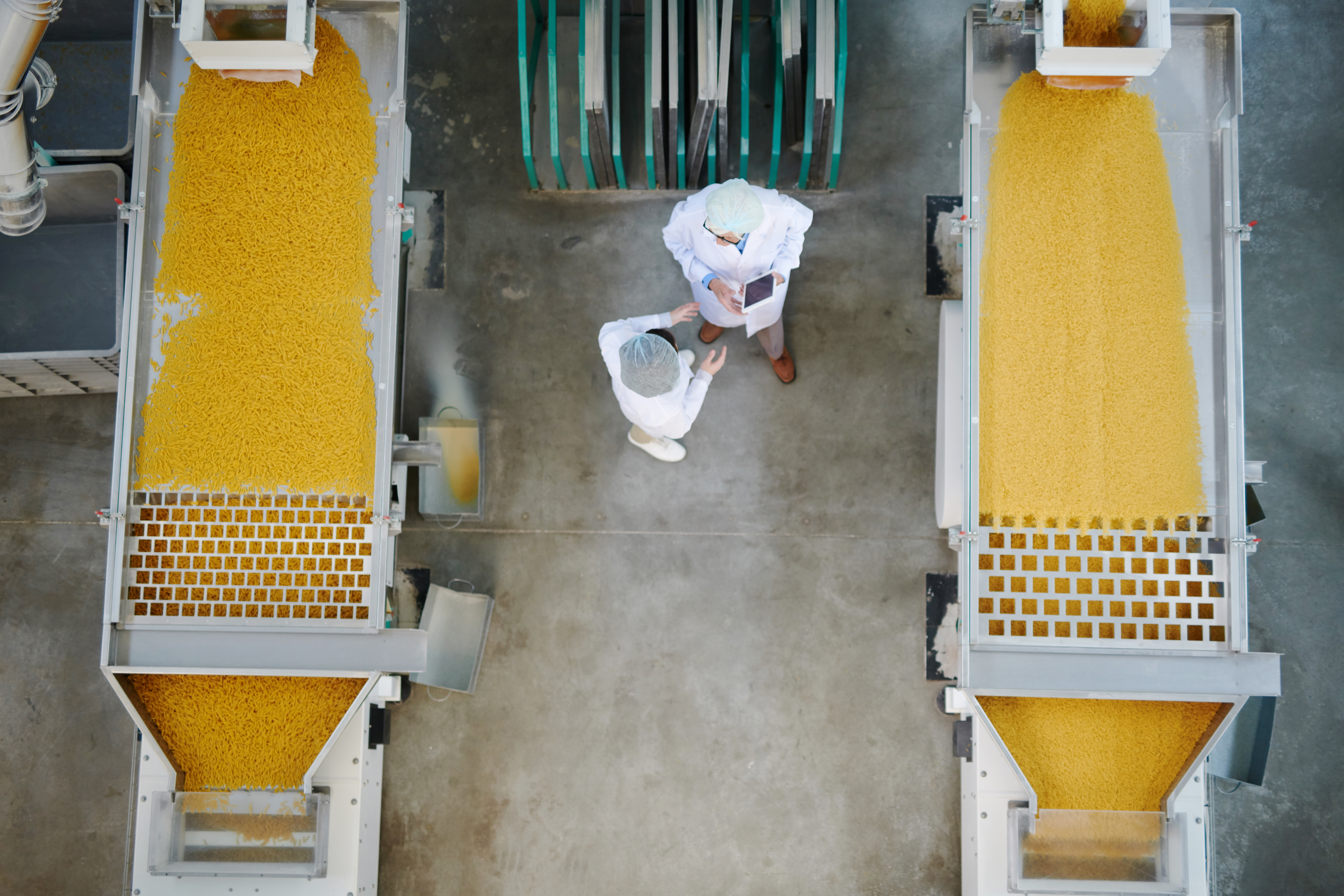 Macaroni Production Factory