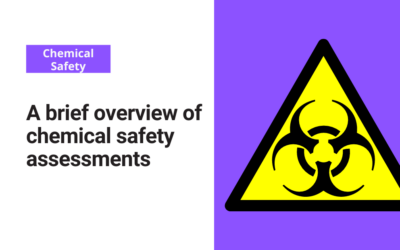 A brief overview of chemical safety assessments