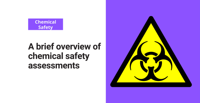 A brief overview of chemical safety assessments