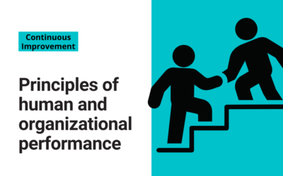 Principles of human and organizational performance