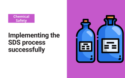 Implementing the SDS process successfully 
