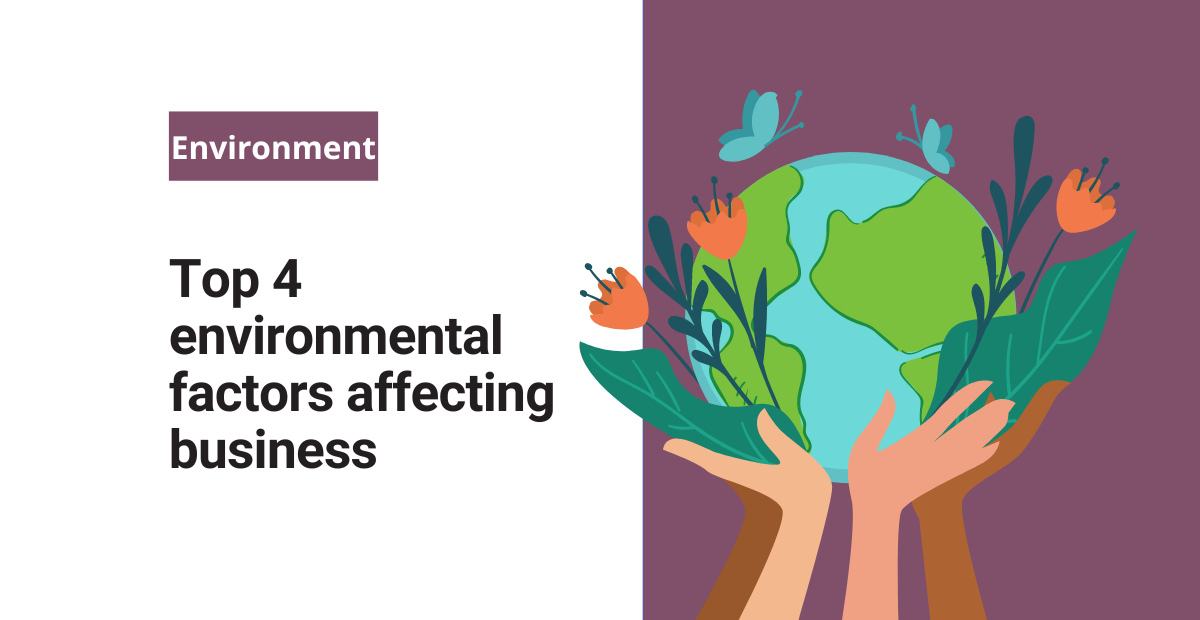 environmental factors in business plan