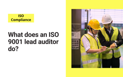 What does an ISO 9001 lead auditor do?