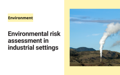 Environmental risk assessment in industrial settings