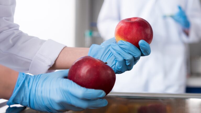 Top 5 Food Safety Rules for Regulatory Compliance