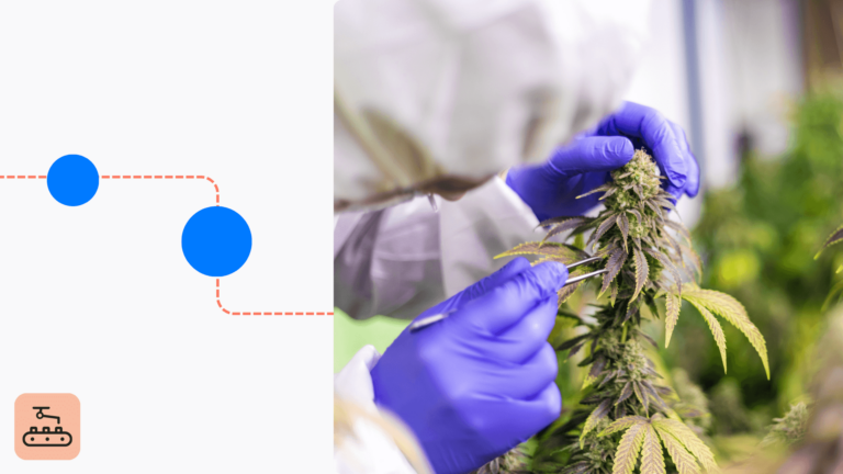 Quality control in cannabis manufacturing