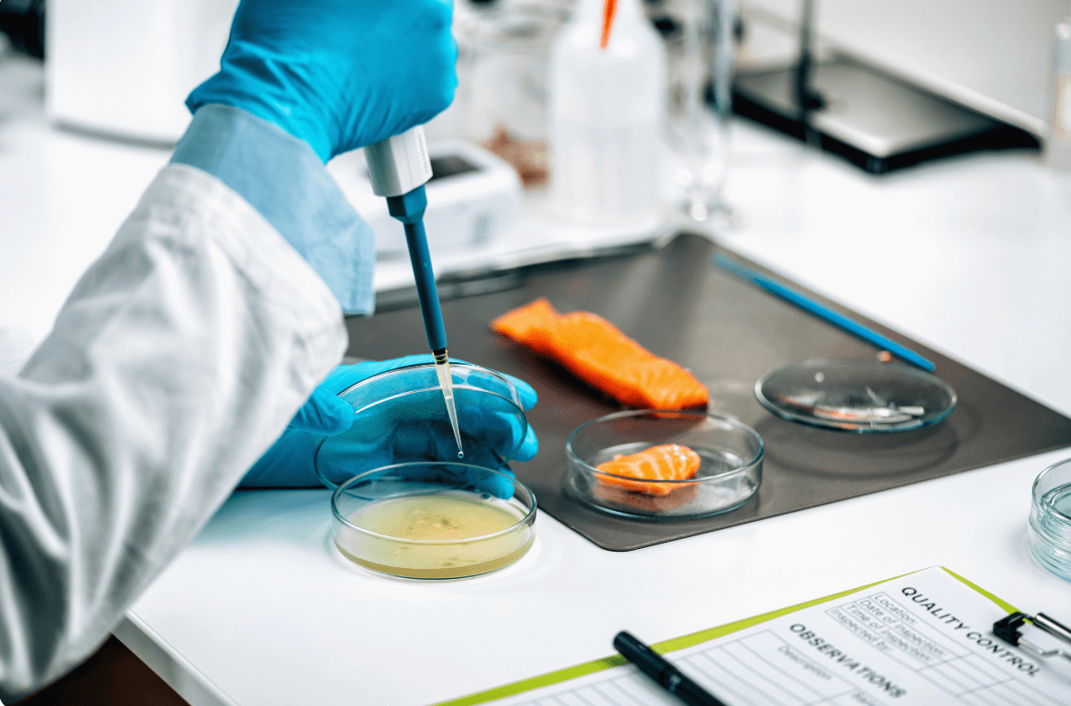 Food safety to prevent biological hazards featured image